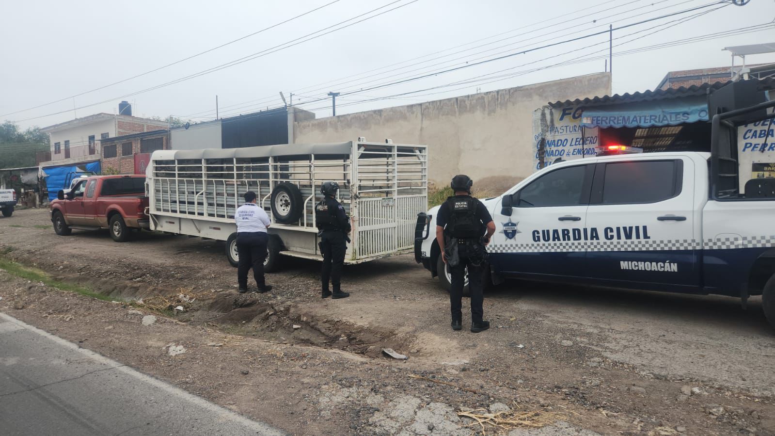 venados3